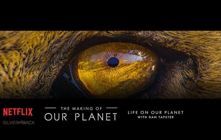 More Info for Life on Our Planet